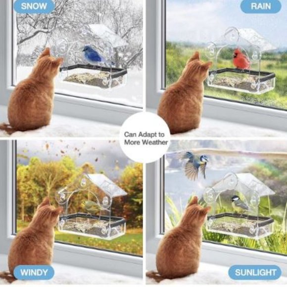 Entirely Zen Window Bird Feeder - All Weather Clear Acrylic Bird Feeder - Picture 5 of 6
